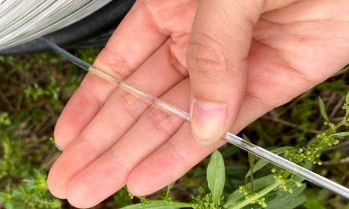 Agriculture Transparent 2.5mm Polyester Monofilament Wire For Holding Curtain Indoor Greenhouse Shade Net