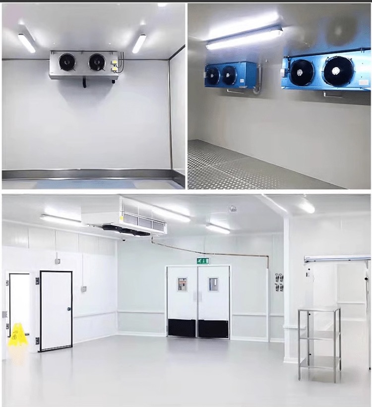 Stainless Steel Inside Wall 40ft x 20ft Dual Temperature Chiller and Freezer Container Cold Room for Storage Reefer Container