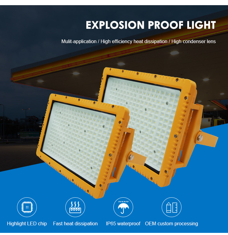 OEM Hazardous Explosion Proof Lighting Fixtures Wall Mount Flood Light