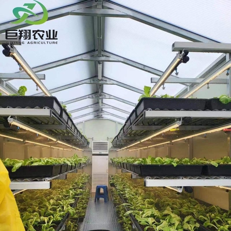 Agriculture Greenhouse Construction Polycarbonate Sheet Covered for Tomatoes