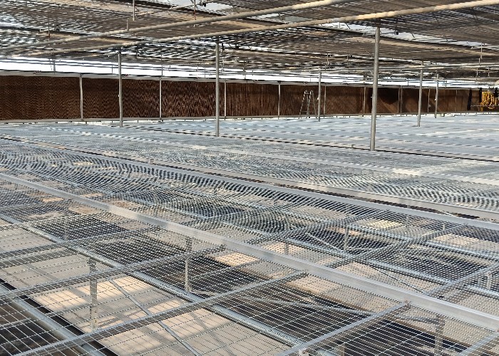 1.7m 1.8m Welded Wire Mesh Steel Rolling Benches Table Seedbed For Vegetable Nursery Seedling In Greenhouse