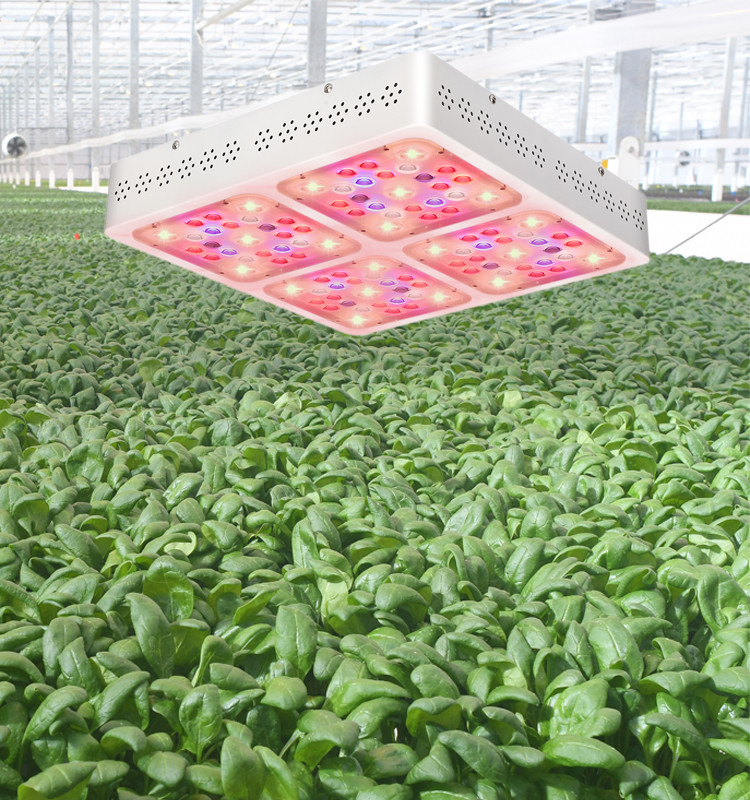 520μmol/s C400 400W 850mA COB Led Grow Light Full Spectrum