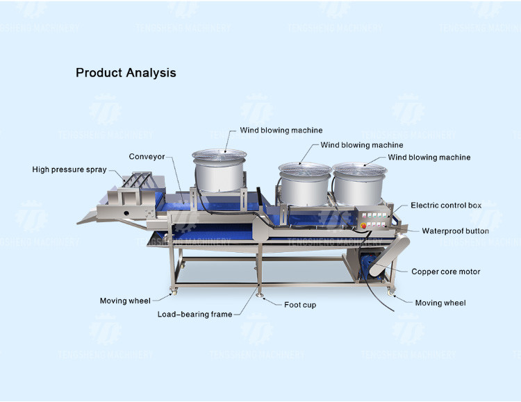380V Stainless Steel Mesh Belt Air Drying Machine for Fruit And Vegetable