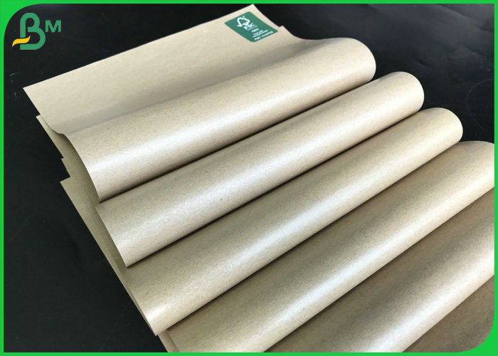 pe coated paper