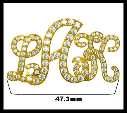 Dainty And Radiant 925 Silver And Cubic Zirconia Animal Shaped Brooch For Men And Women Catch The Light Cz Brooch
