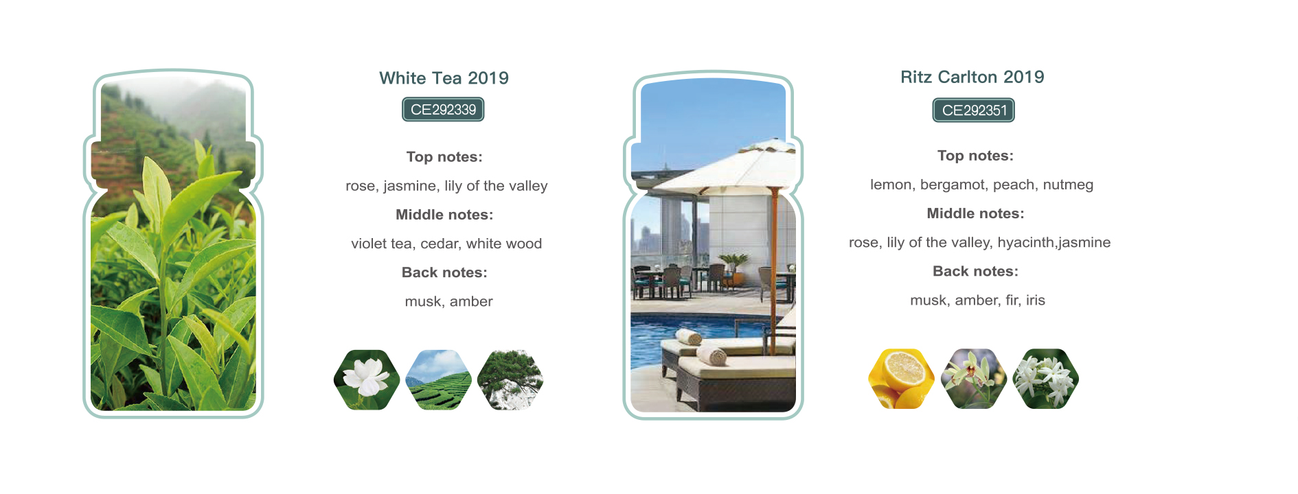Hot Sell High Quality Essential Oil 500ml Large Capacity High-end Fragrance Selection Of Various Fragrance Types
