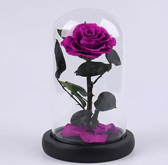 2019 Christams Gift Preserved Flower Forever Rose In Flask On Sale