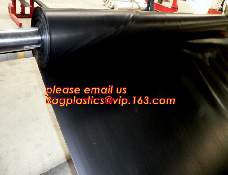 eco-friendly hdpe geomembrane liner geomembrane price,eco-friendly hdpe geomembrane liner waterproofing membranes BAGEAS