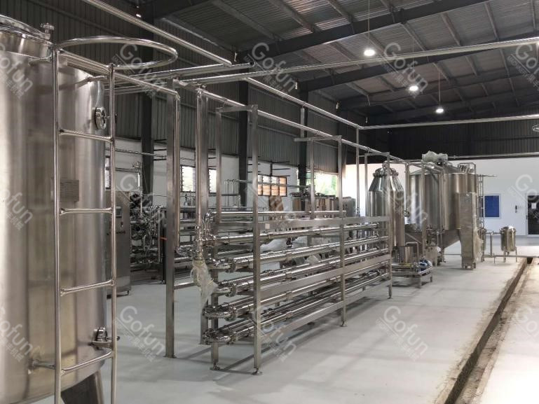 SUS304 Mango Paste Production Machine Mango Pulp Processing Wih Aseptic Bag