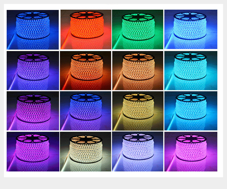 Versatile 240V/230V/110V/220V RGB 5050 Smart LED Strip Lights Plastic Body Color Change Light Strings for Landscape