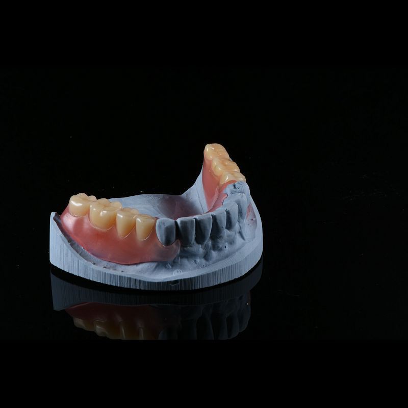 Comfortable Partial Valplast Flexible Dentures Nylon Material