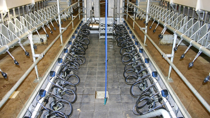 Prefabricated Barns for Cattle Horses Goats and Sheep Fast Build Steel Structure