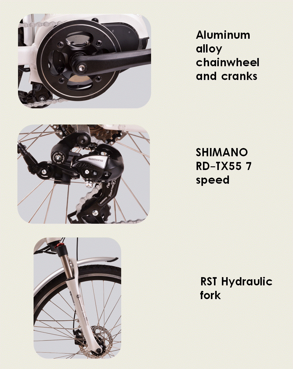 Electric Powered Mid Motor Electric Mountain Bike 10.4Ah Shimano RD-TX55
