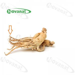 Buy cheap Ginseng Rootlets Organic Dried Herbs Improving Immunity / Food Supplement product