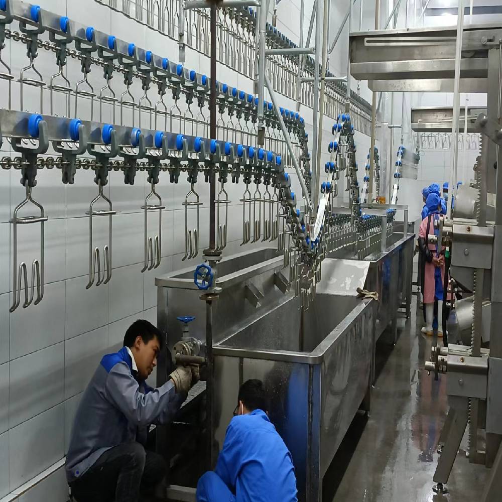 3400KG Halal Poultry Slaughterhouse Equipment Turkey Duck Broiler Chicken Processing