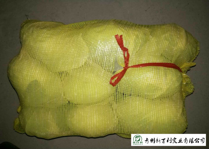 Good Taste Chinese Round Cabbage , Small Green Cabbage 1 Kg / Per Size