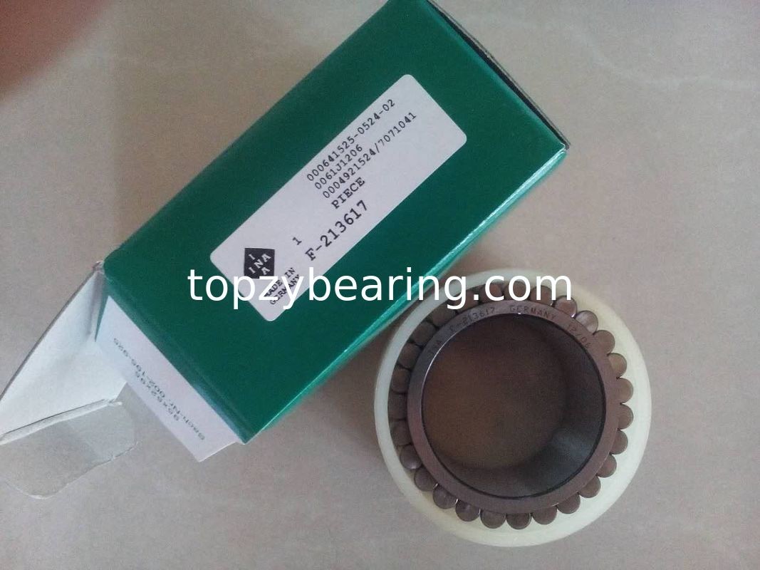 F213617 Full Complement Bearing Cylindrical Roller Bearing F-213617.RNN Gearbox Bearing Size 55x77.07x41mm