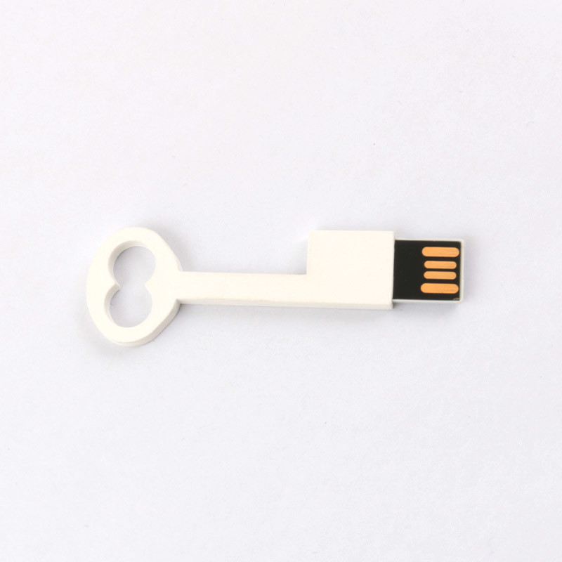 Conform Europe Standard Plastic Key USB Flash Drive 2.0 64GB 128GB 50MB/S