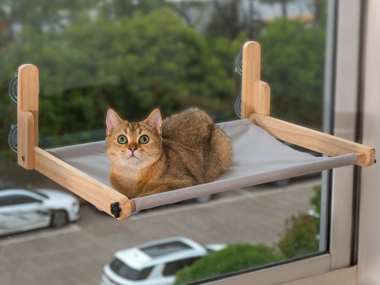 suction cup cat bed