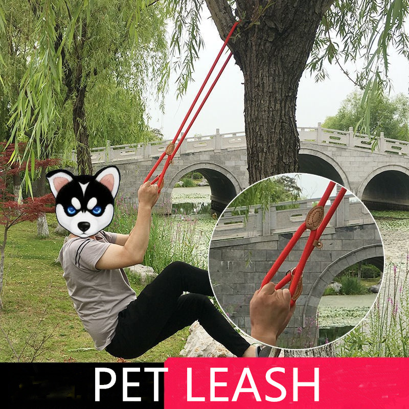 dog lead collar