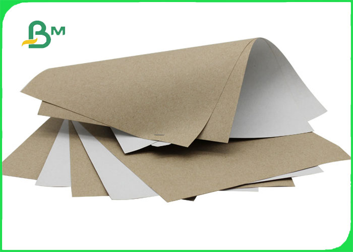  140gsm 170gsm One Side White Coated Test Liner Paper Roll For Pizza Box 1400MM