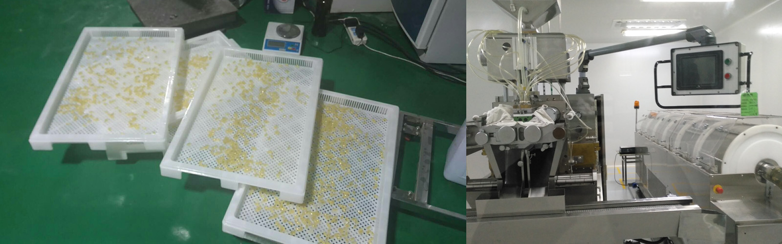 Multi Cavity 103x152 150x250 Die Roller Capsule Mold
