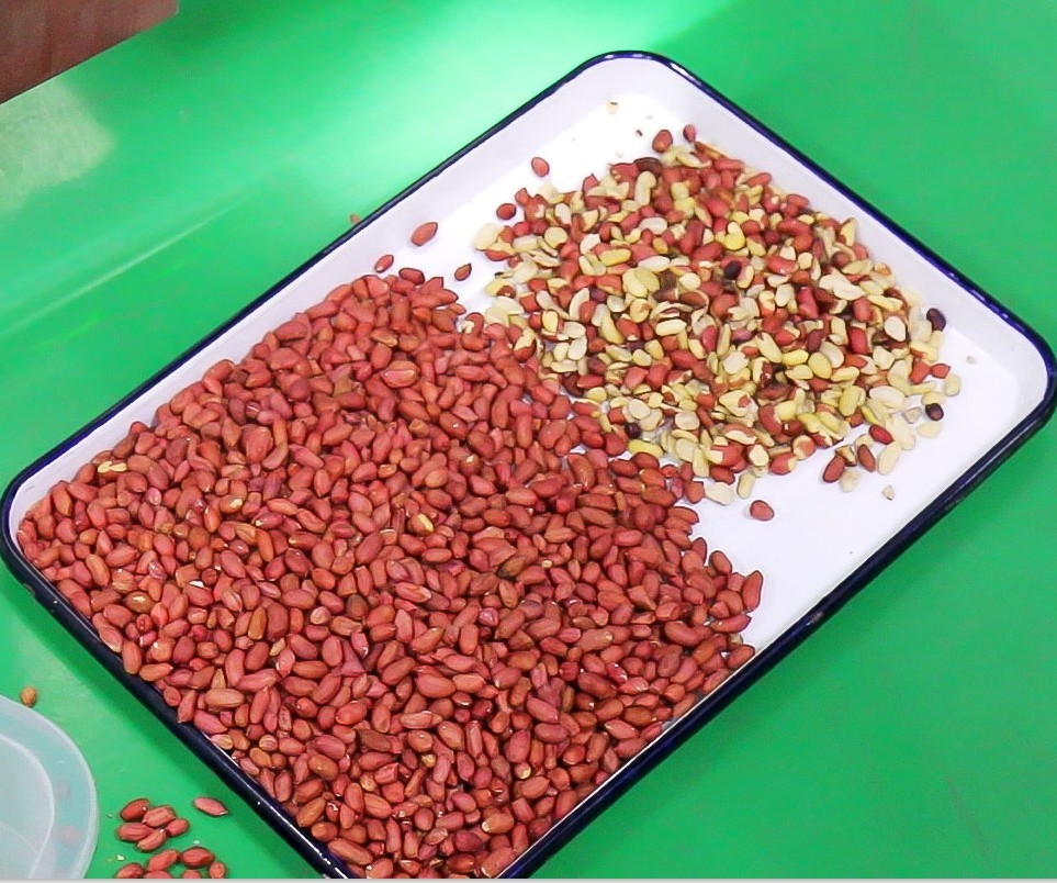 Intelligent Automatic 1 Chute Mini Color Sorter For Parboiled Rice