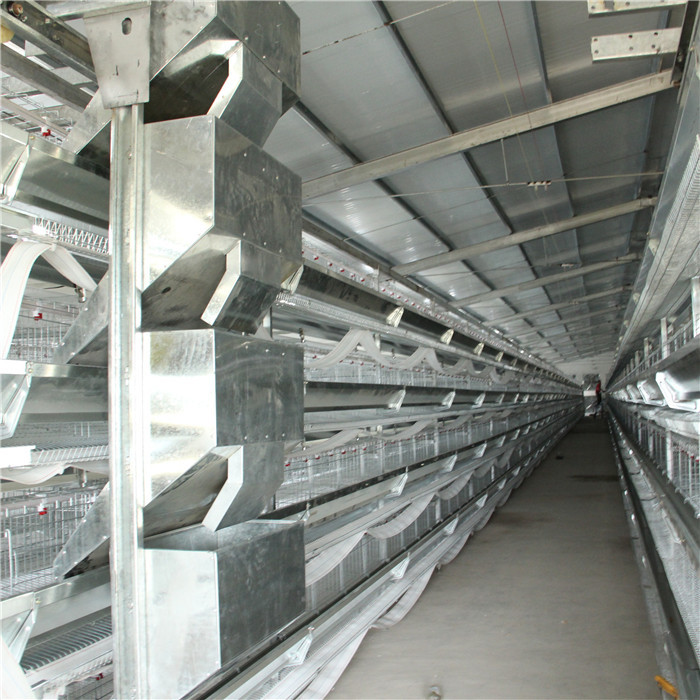 4-8 Tier Layer Egg Cages Chicken Battery Poultry Farm