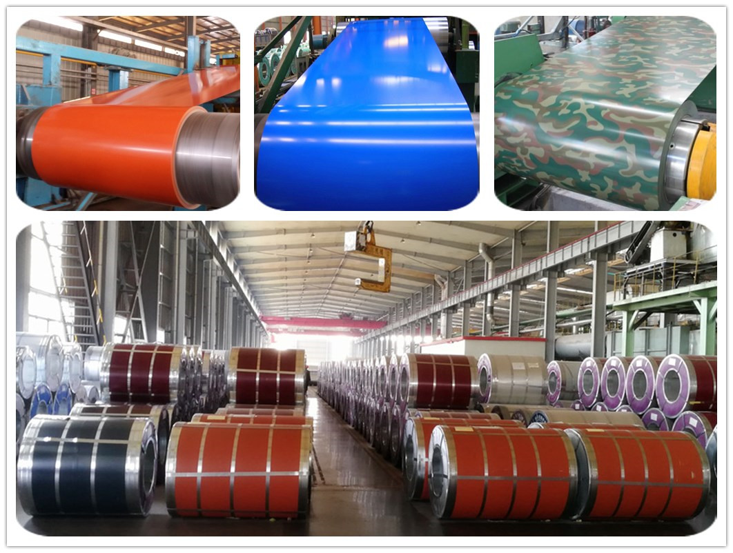 PPGI Galvanized Prepainted Zinc Color Coated Steel Coil for and Tolerance of ±1% at Coil ID 508-610MM