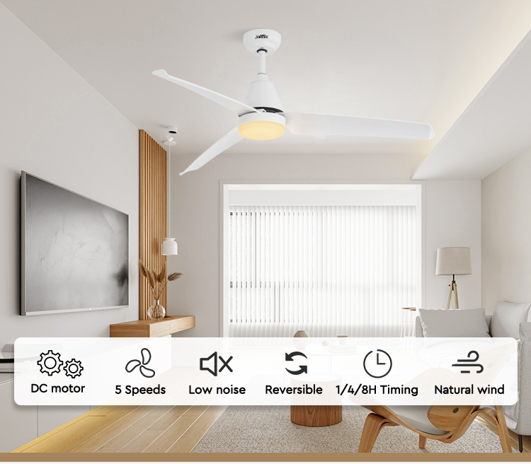 ceiling fan