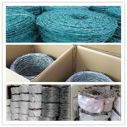 Single Strand Twist Barbed Wire Hot Dipped Galvanized Barbed Fence Airport Fence