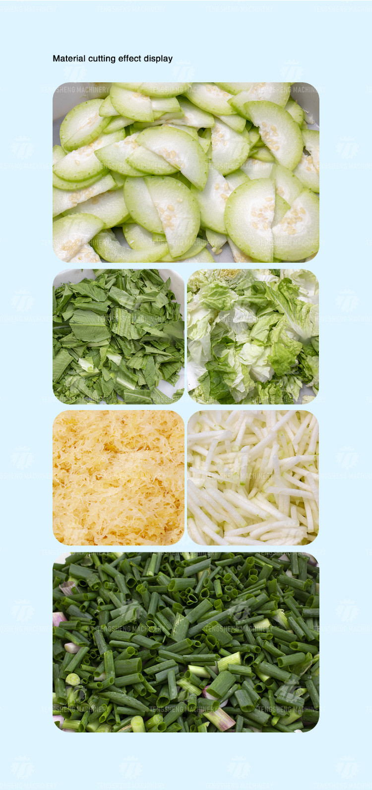 180KG Large canteen commercial potato slicing multi-functional single head vegetable leaf slicing machine made in Taiwan