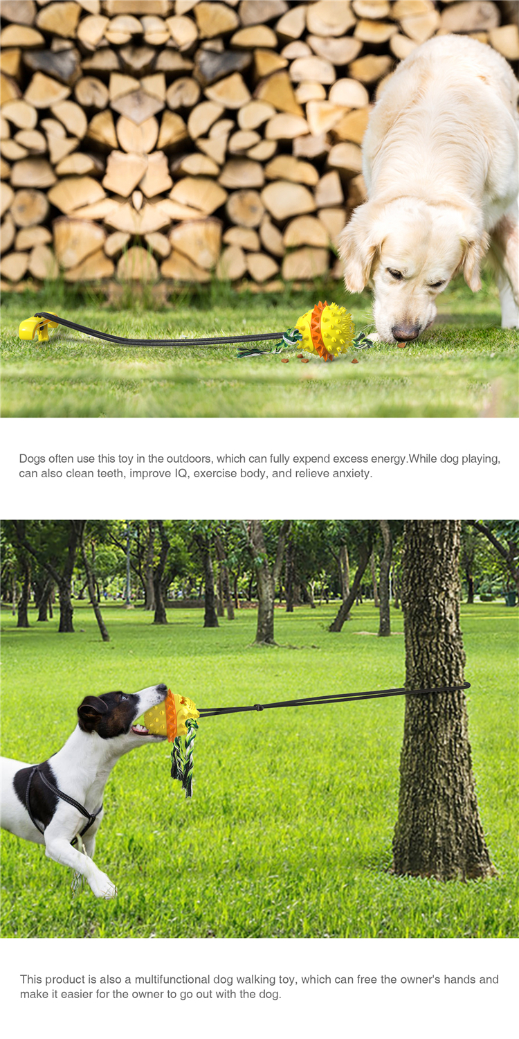 Elastic Plastic Cute Pet Toys Outdoor Water Dog Chewing Ball