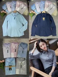 China Washable Womens Polo Shirts Solid Pattern Regular Shirts Formal Dress Kcs9 on sale