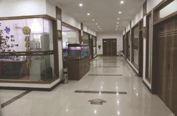 Jiaxing Zihong Trading Co.,Ltd.