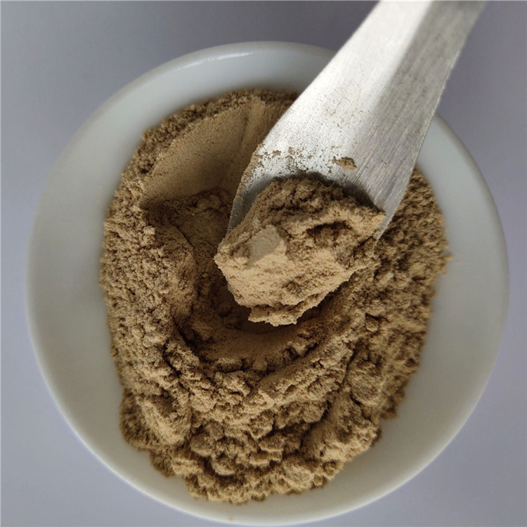 wholesale rheumatism capsule desmodium extract in bulk