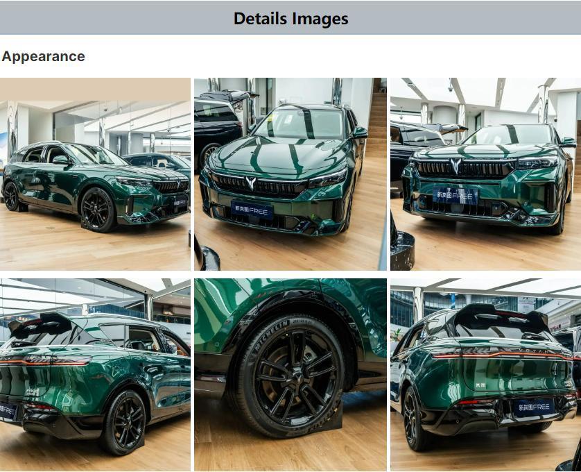 China New Energy Vehicles Hybrid and Full Electric Cars 4WD Dual Motor 2024 Voyah Free for Sale