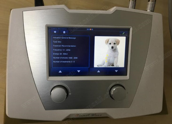 Physical Therapy Shock Machine For Chronic Back Pain / Tendon Injury