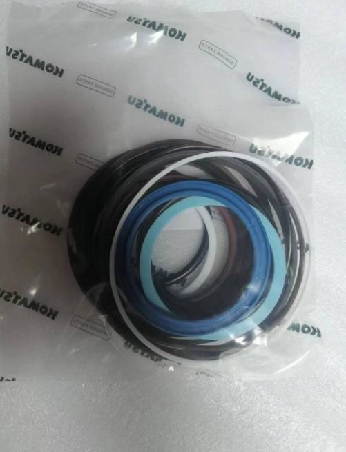 721-98-00720 Oil Seal Kits For Komatsu