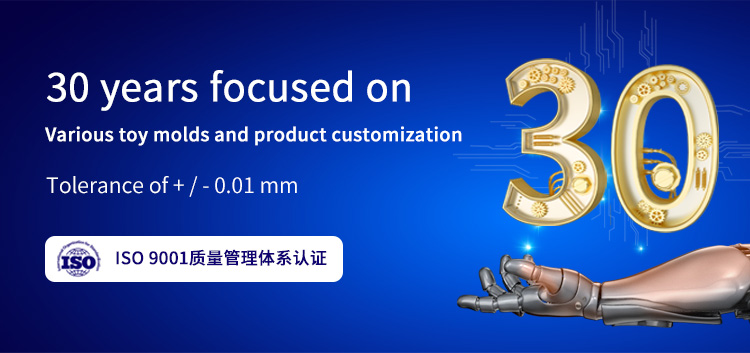 Custom Surface Texture Injection Mold Development Plastic Manufacturing Molding Design with 300000-1000000 Shots Mould Life
