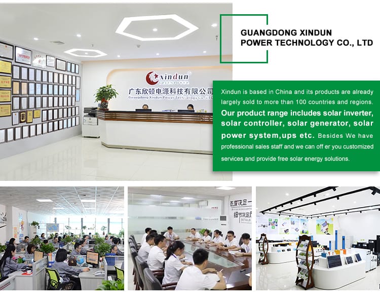 1000w inverter charger chinese company