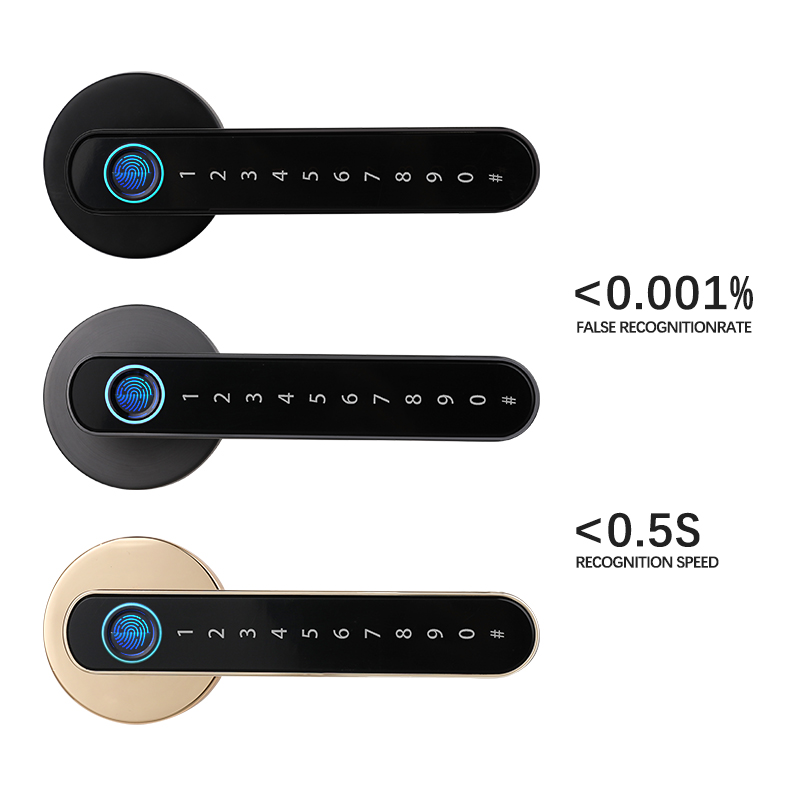 Black Tuya BLE Biometric Fingerprint Door Lock S604L Keyless Entry Door Lock