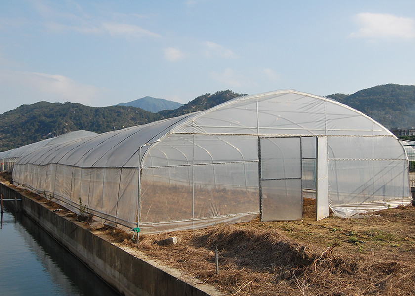 Ventilation Plastic Tunnel Greenhouse Garden Poly Tunnel For Tomato More Vigorous Growth