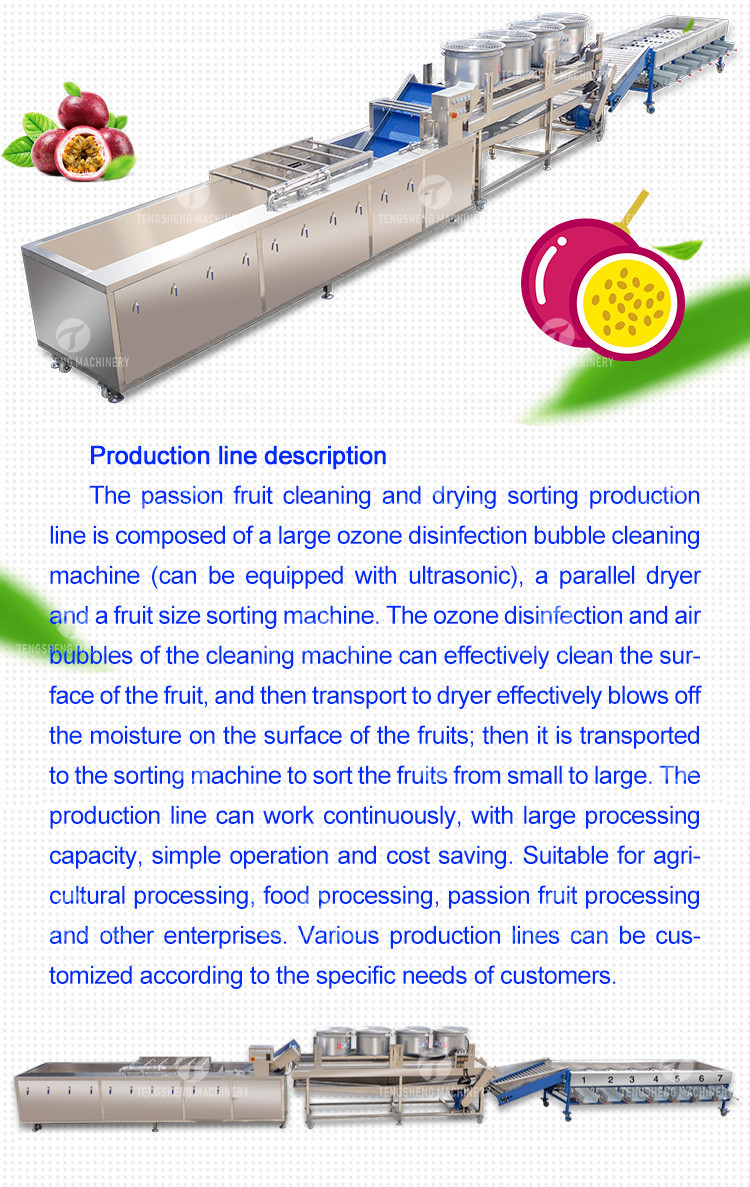 380V Fruit And Vegetable Processing Line Fully Automatic Cleaning Drying Grading