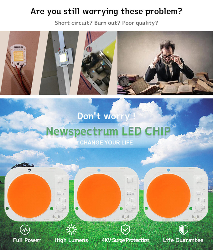 High Lumens 50W Horticulture COB Round Cob Led Light For Spotlights