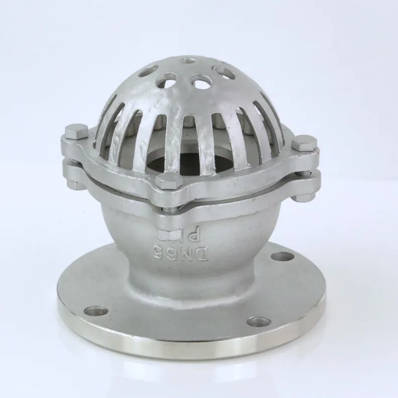 High Quality Better Price Check Valve Ss Foot Valve for Water Supply