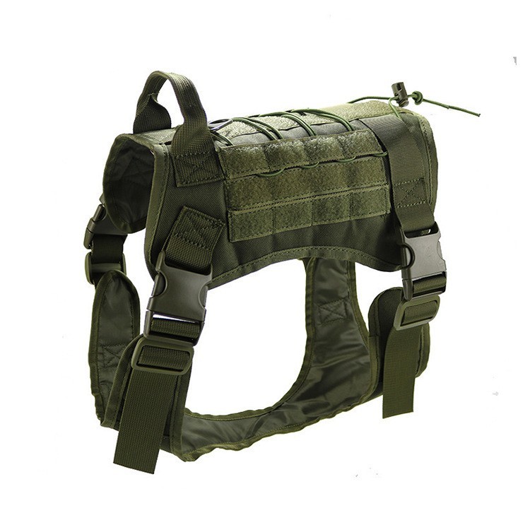 handsfree dog leash 