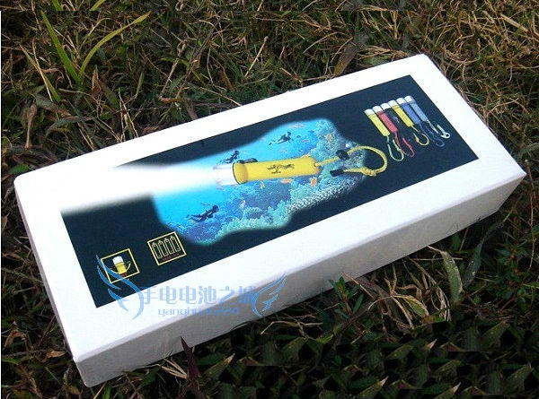High Power diving flashlight LED light