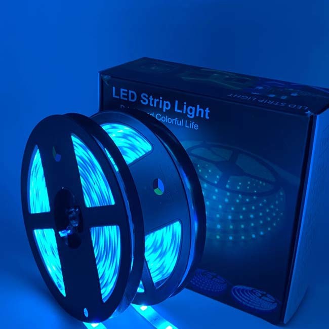 IP20 DC12V 10M Bluetooth LED Strip Light