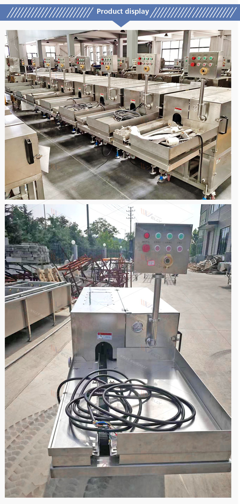 High Capacity Fish Gutting Machine for Carp Grass Carp Silver Carp Tilapia Trout Processing